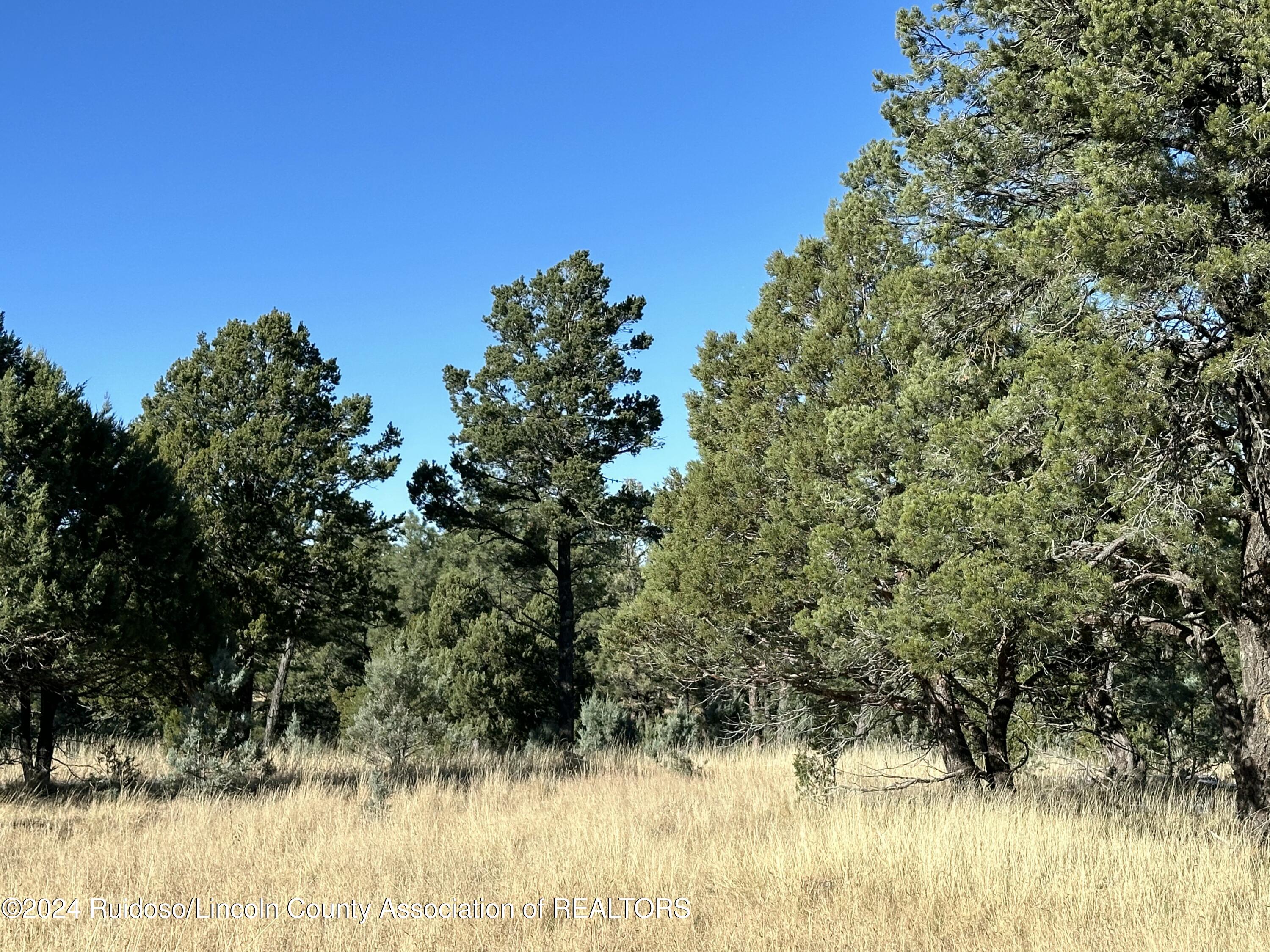 16 Eagle Ridge Road, Alto, New Mexico image 11