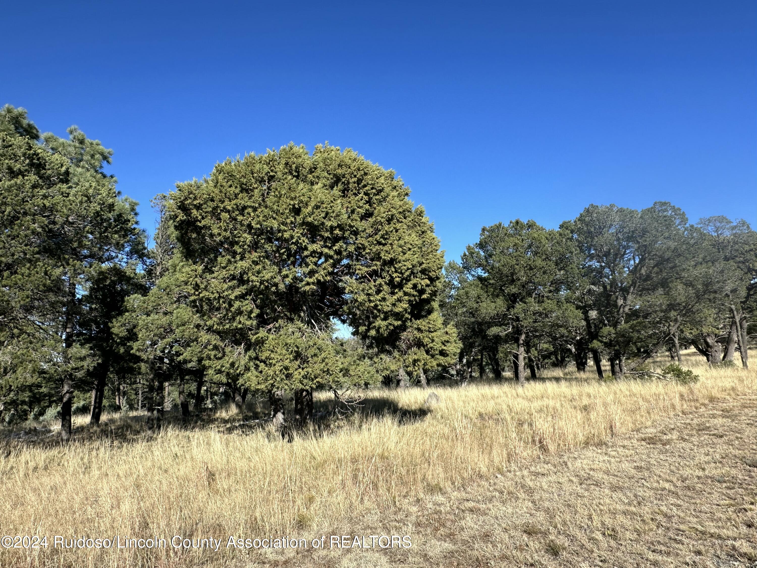 16 Eagle Ridge Road, Alto, New Mexico image 12