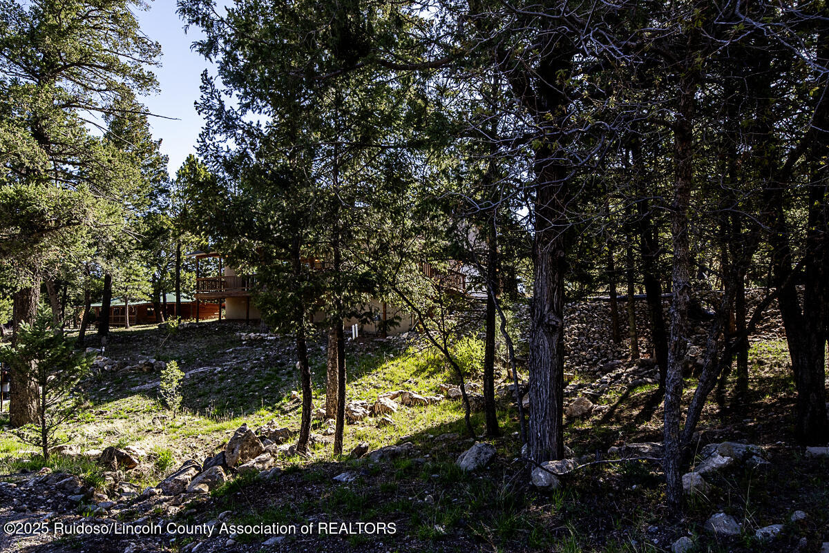 247 Excalibur Road, Ruidoso, New Mexico image 29