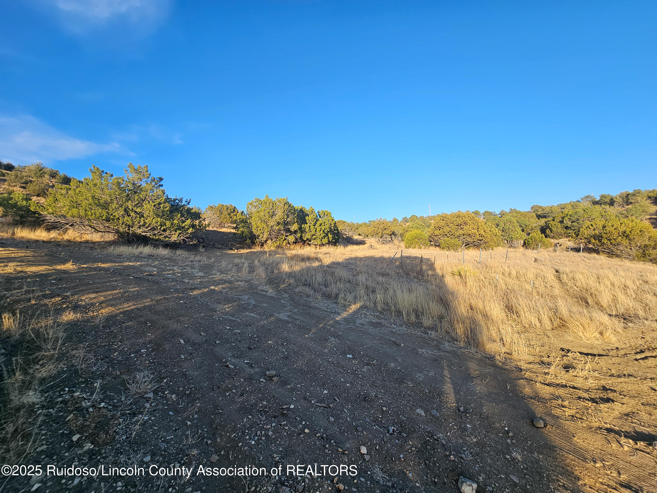 Lots 56 Dawson Road, Capitan, New Mexico image 10