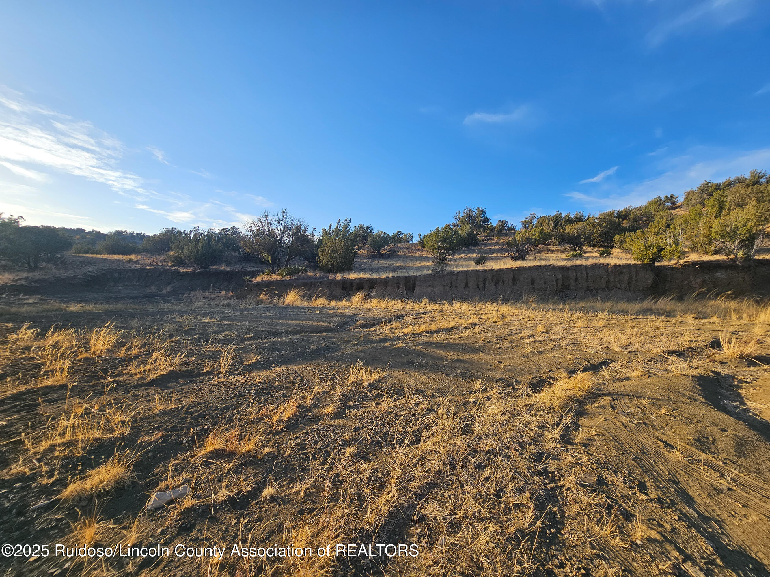 Lots 56 Dawson Road, Capitan, New Mexico image 9