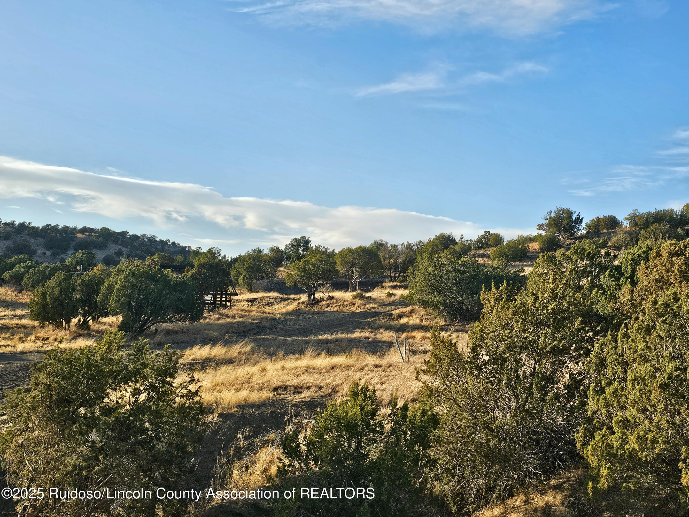 Lots 56 Dawson Road, Capitan, New Mexico image 5
