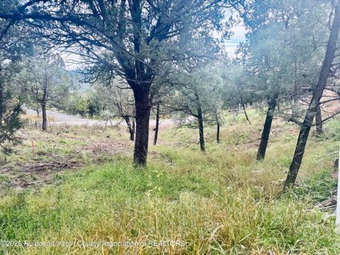Vacant Land For Sale - 106 Deodar Drive<br/> Lincoln County, Ruidoso, NM 88345