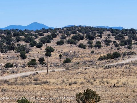 Vacant Land For Sale - L135 Ranch View Loop<br/> Lincoln County, Carrizozo, NM 88301