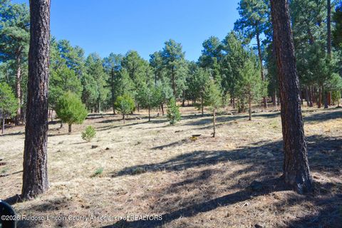 Vacant Land For Sale - LOT 26 Midiron Drive<br/> Alto, NM 88312