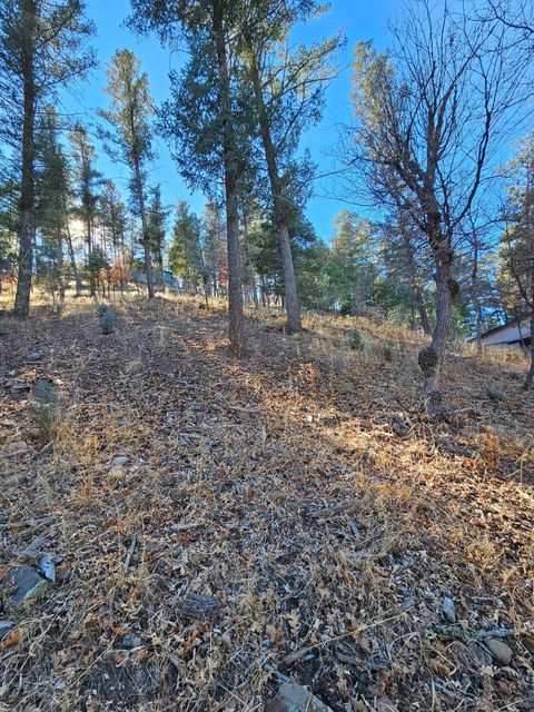 Vacant Land For Sale - 203 Perk Canyon Drive<br/> Lincoln County, Ruidoso, NM 88345
