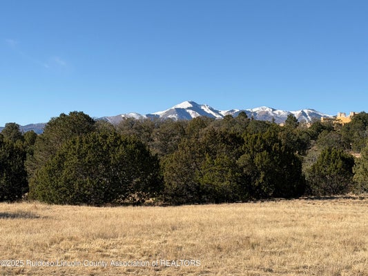 ADDRESS PRIVATE, ALTO, NM 88312 - Image 12232b7a9d3bae4c154b28dbd7f36f41/470565877