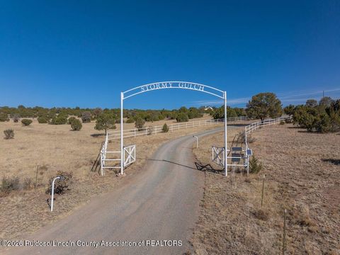 Homes For Sale - 185 Fort Lone Tree Road<br/> Capitan, NM 88316