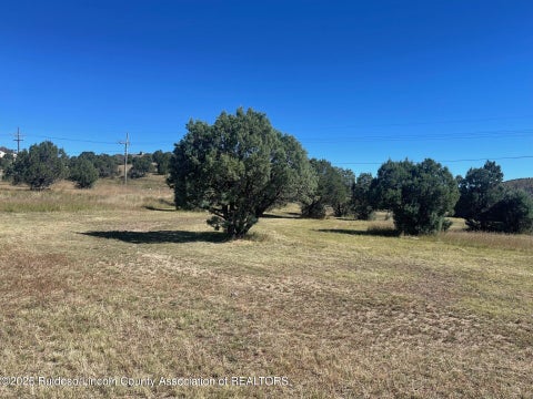 Vacant Land For Sale - L193 Saddleback Road<br/> Alto, NM 88312