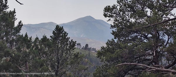 341 LAKE SHORE DR, ALTO, NM 88312 - Image 1fcd2bc3eb3eb05f424b628b359ded44/792469192