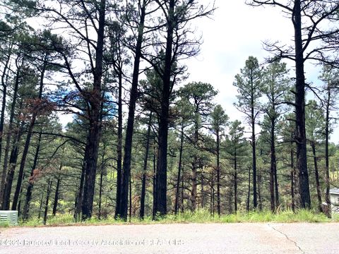 Vacant Land For Sale - LOT 12 Brentwood Drive<br/> Lincoln County, Alto, NM 88312