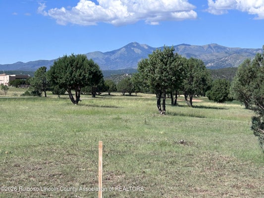 LIPAN CT, ALTO, NM 88312 - Image 2c318ee1cc2a313aa3db3d9de7a043ea/582481174