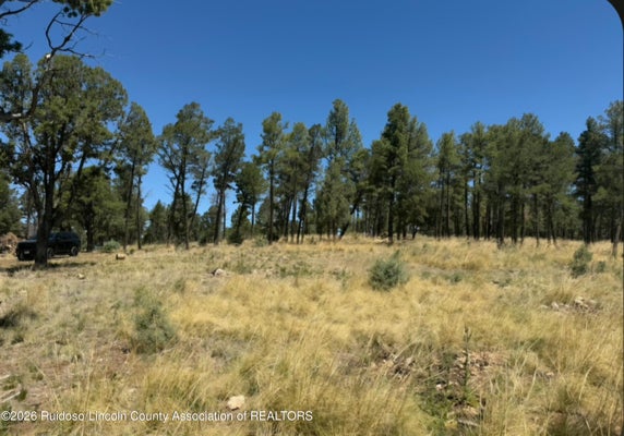 104 MERLYN DR, RUIDOSO, NM 88345 - Image 3127ea70ebfde044eef8631df108a94f/3554070151