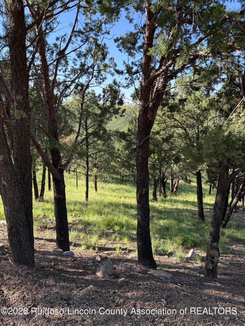 Vacant Land For Sale - 198 Crown Ridge Road<br/> Alto, NM 88312