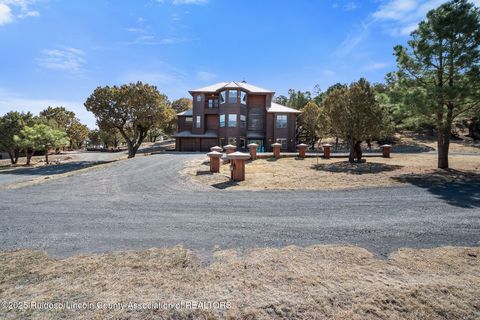 127 Little Creek Hills Alto NM 88312