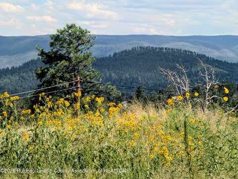 Vacant Land For Sale - 113 Kaibab Drive<br/> Lincoln County, Ruidoso, NM 88345