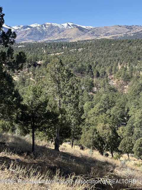 Vacant Land For Sale - 113 Holly Drive<br/> Lincoln County, Alto, NM 88312