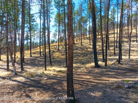 Vacant Land For Sale - 210 Deer Creek Road<br/> Lincoln County, Ruidoso, NM 88345