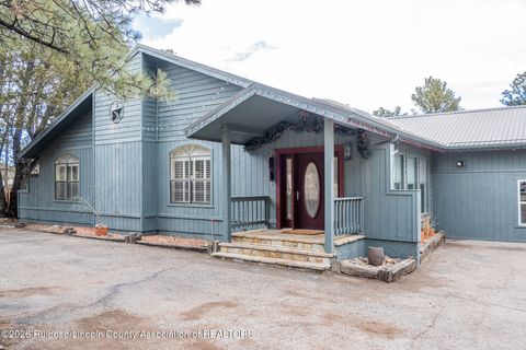 100 Bull Elk Court 1 Alto NM 88312