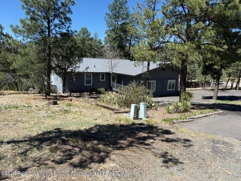 Homes For Sale - 205 Coal<br/> Lincoln County, Ruidoso, NM 88345