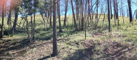 Vacant Land For Sale - 129 Sequoia Drive<br/> Ruidoso, NM 88345