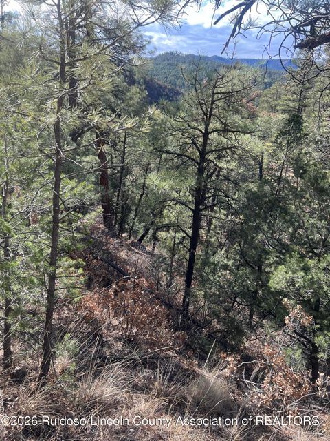 Vacant Land For Sale - - Gresswell Road<br/> Lincoln County, Ruidoso, NM 88345