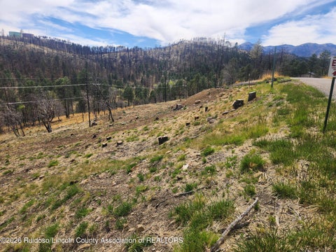 Vacant Land For Sale - L41 Lakeshore Drive<br/> Alto, NM 88312