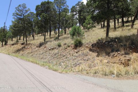 Vacant Land For Sale - 105 Valley View Circle<br/> Ruidoso, NM 88345