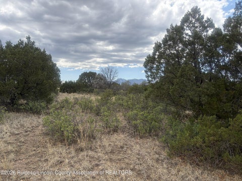 Vacant Land For Sale - TRACT 11 Rio Hondo<br/> Alto, NM 88312