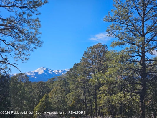 ADDRESS PRIVATE, RUIDOSO DOWNS, NM 88346 - Image 6adf3dc865643c3cf231d63d8cfdae02/635213880