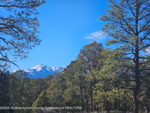 Vacant Land For Sale - FS-120 Township 10s, Range 14e,sec.33<br/> Lincoln County, Ruidoso Downs, NM 88346