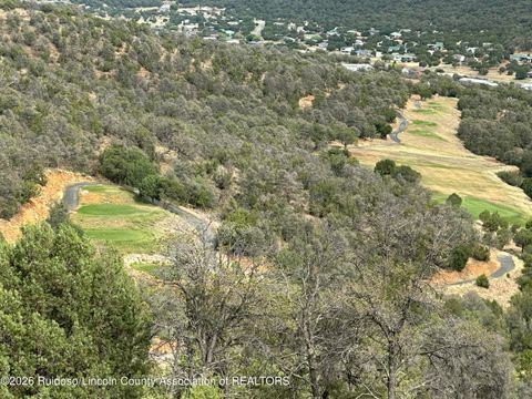 Vacant Land For Sale - 105 Santo Domingo Court<br/> Alto, NM 88312