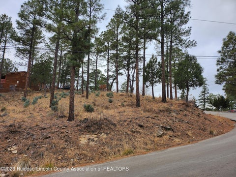 Vacant Land For Sale - 138 King Richard Drive<br/> Ruidoso, NM 88345