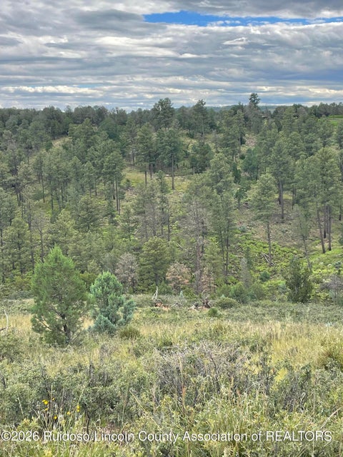 Vacant Land For Sale - 19B Lincoln Hills Drive #2<br/> Alto, NM 88312