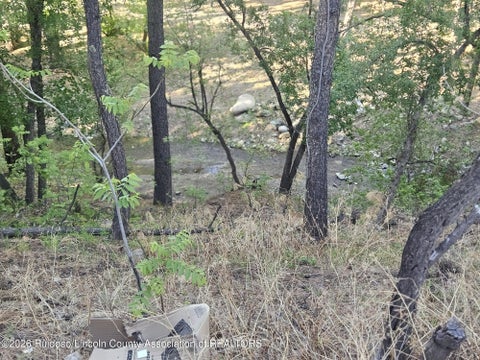 Vacant Land For Sale - 118 & 122 King Road<br/> Ruidoso, NM 88345