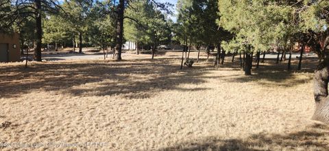 Vacant Land For Sale - 122 Mira Monte Road<br/> Lincoln County, Alto, NM 88312