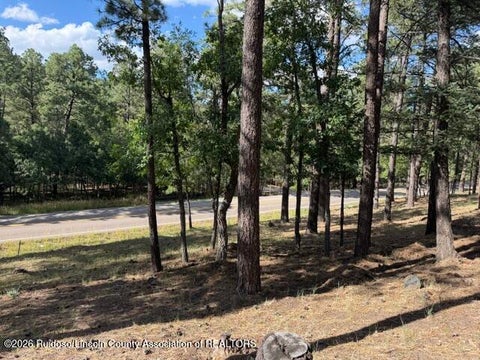 Vacant Land For Sale - LOT 62 Fort Stanton Rd. #4<br/> Alto, NM 88312
