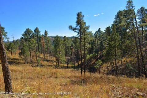 Vacant Land For Sale - 124 Crown Ridge Road<br/> Lincoln County, Alto, NM 88312