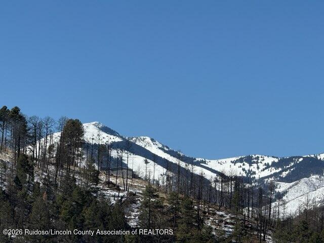 302 Lake Shore Drive