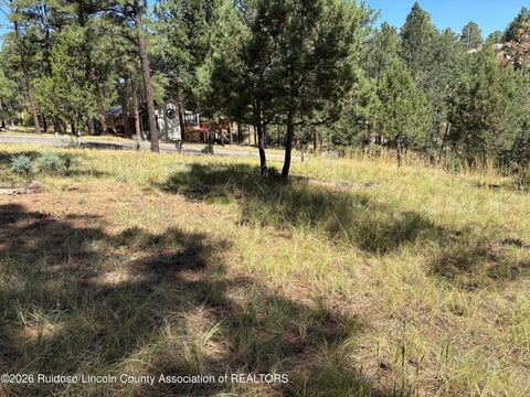 Vacant Land For Sale - 102 Twin Tree Loop<br/> Alto, NM 88312