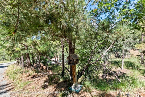 Vacant Land For Sale - 107 Santa Rosa Drive<br/> Lincoln County, Ruidoso, NM 88345