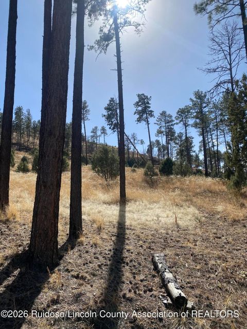 Vacant Land For Sale - 81 Stable Road<br/> Alto, NM 88312