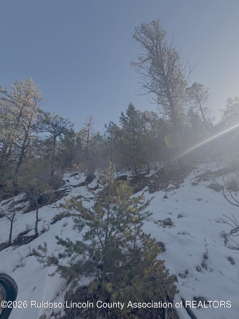 Vacant Land For Sale - L40 Marijo Ln<br/> Lincoln County, Ruidoso, NM 88345