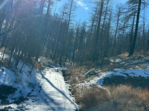 Vacant Land For Sale - 155 Jarratt Lp Loop<br/> Ruidoso, NM 88345