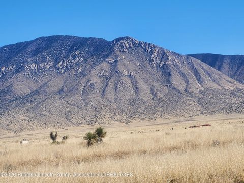 Vacant Land For Sale - 133 & 135 Pino Road<br/> Carrizozo, NM 88301