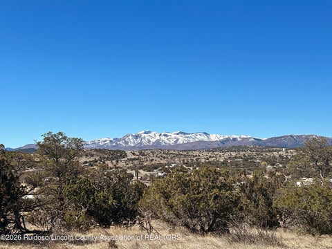 Vacant Land For Sale - 109 Crest View Road<br/> Capitan, NM 88316