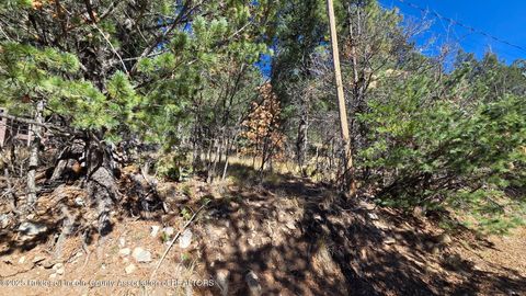 Vacant Land For Sale - . Platinum Strip Road<br/> Cloudcroft, NM 88317