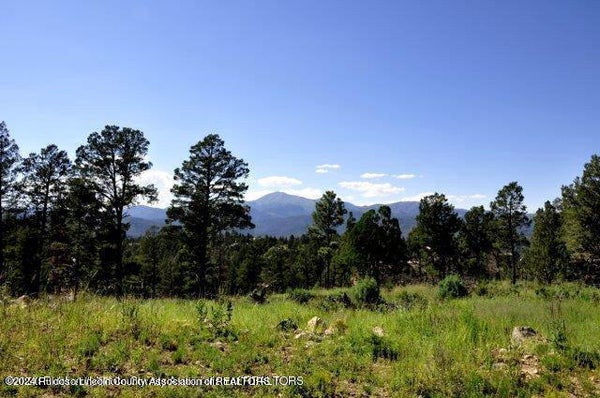 304 CUMMINGS DR, RUIDOSO, NM 88345 - Image c63b5d3cd14fbd10120529c3355366c2/708458937