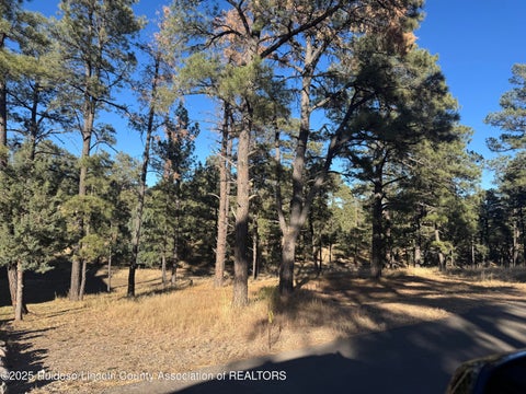Homes For Sale - 123 Walter Hagen Drive<br/> Alto, NM 88312