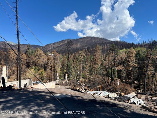 1129 MAIN RD, RUIDOSO, NM 88345 - Image d6475bc4cd9f2efe0972a8fab2768ce2/3312463304
